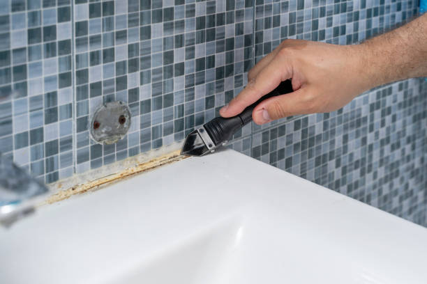 Best Mold Testing and Inspection Services in Westmorland, CA